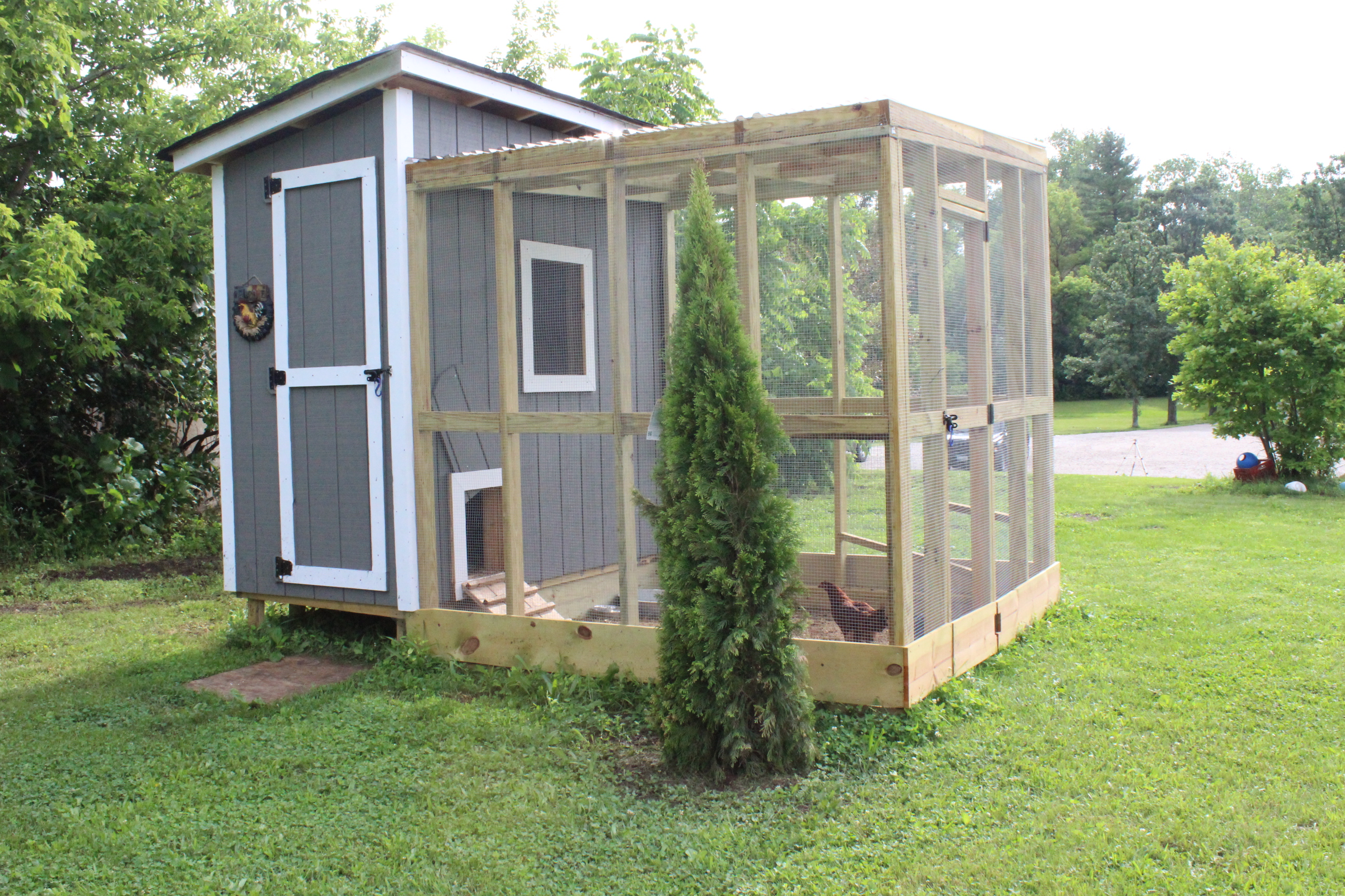 Our Backyard Chicken Coop 12 Oaks